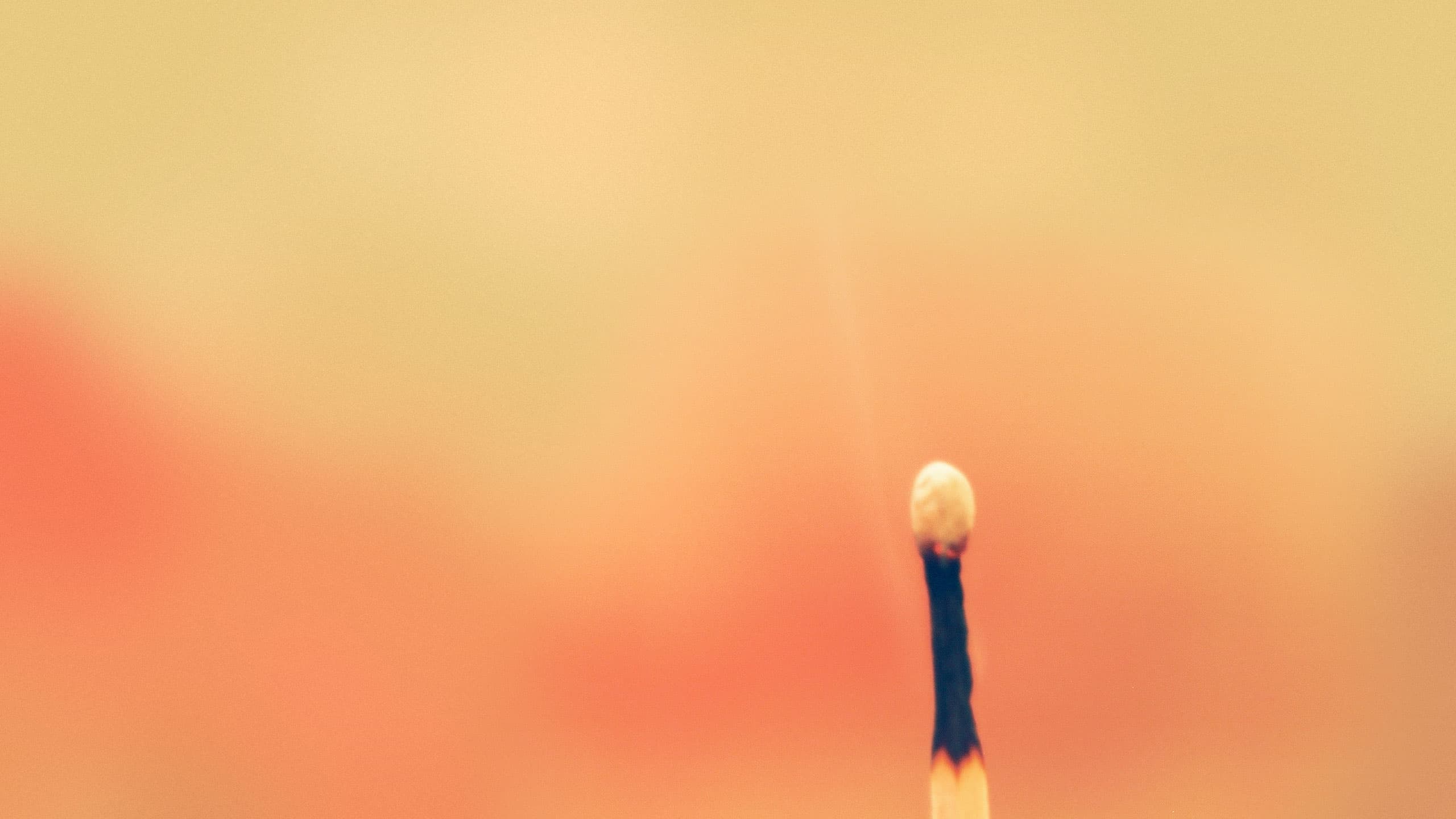 Burnout Coaching und Prävention