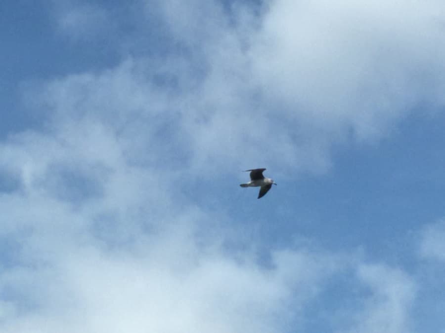 LOSLASSEN – KUNST ODER QUATSCH?