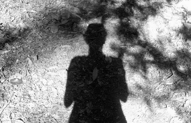 MEIN SCHATTEN UND ICH